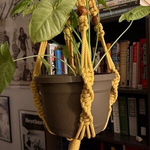 Macrame Plant Hanger Only, Plant not for Sale
